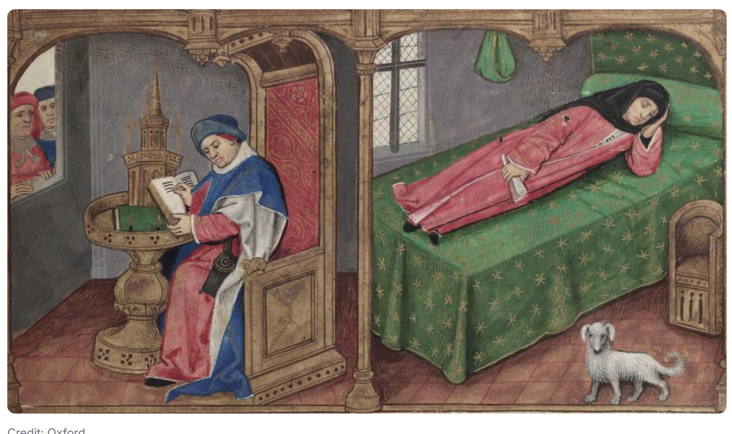 Nocturnal Activity Graph